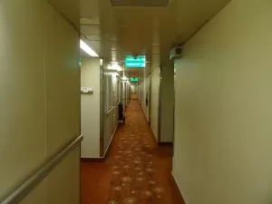 Wykładzina PCV rodzaje